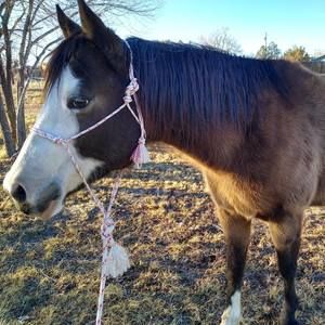 Meet your Posher, Peggy